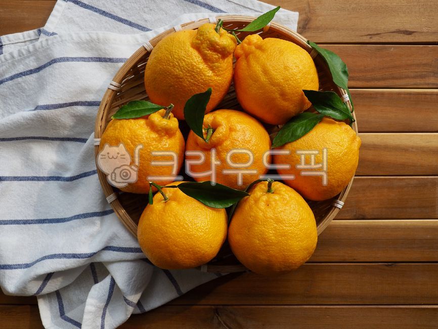 제주한라봉,한라봉,제주도특산품,감귤류,과일,제주도,한국,노랑,음식,배경,웰빙,웰빙음식,다이어트식품,간식,후식,감귤류과일,jejuhallabong,hallabong,jejuislandspecialties,citrusfruit,fruit,jejuisland,korea,yellow,food,background,wellbeing,wellbeingfood,dietfood,snack,dessert,주황색,식물,orange,plant,음식,식재료,요리,food,cook,meal,dishes,food reserves,과일,열매,fruit