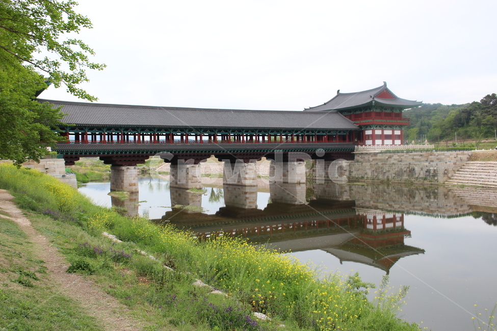 풍경,꽃,나무,건물,분위기,랜드마크,landmark,tourist attraction,한국랜드마크,한국관광지,한국명소,korea landmark,korea tourist attraction