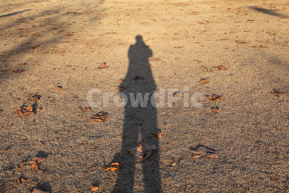 남자,그림자,가을,잔디,쉐도우,사람,인물,인간,human,person,인물실루엣,사람실루엣,character silhouette,human silhouette,ground,바닥,asphalt,아스팔트