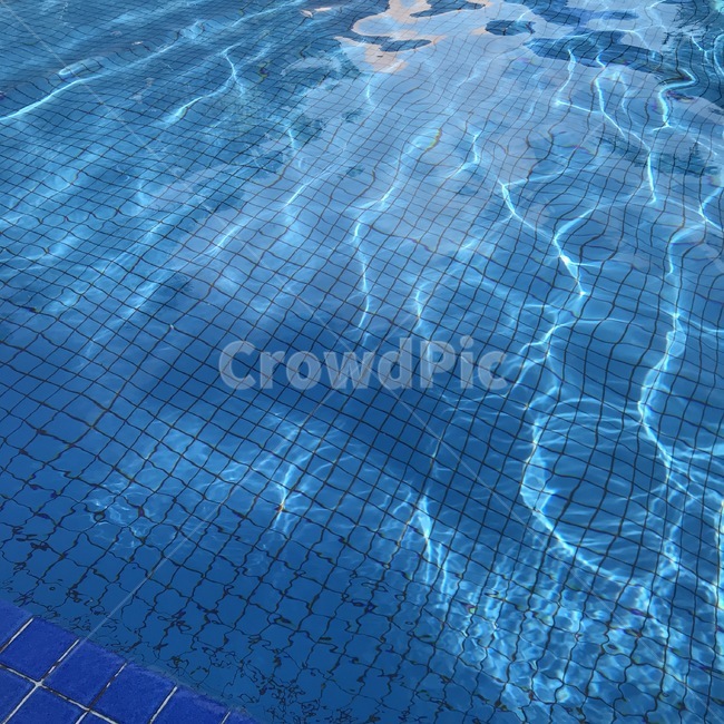 water,물,nature,자연,outdoors,옥외,underwater,수중,swimming,수영,sports,sport,스포츠,여름,계절,summer,season