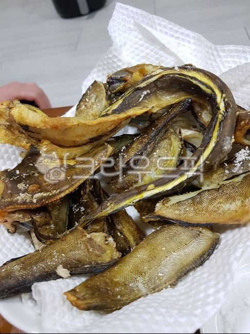 Nolaemi,fried food,grilledsalt,eel,salt grilled,food,seasnails,fish,Fish,fries,catch