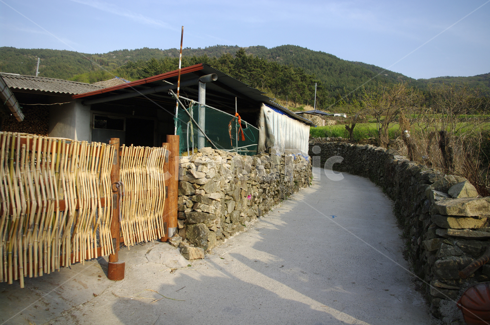 청산도,돌담길,돌담,집,시골,길,보리밭,식물,plant,계절,봄,spring,시골,마을,풍경,landscape,country,rural,town