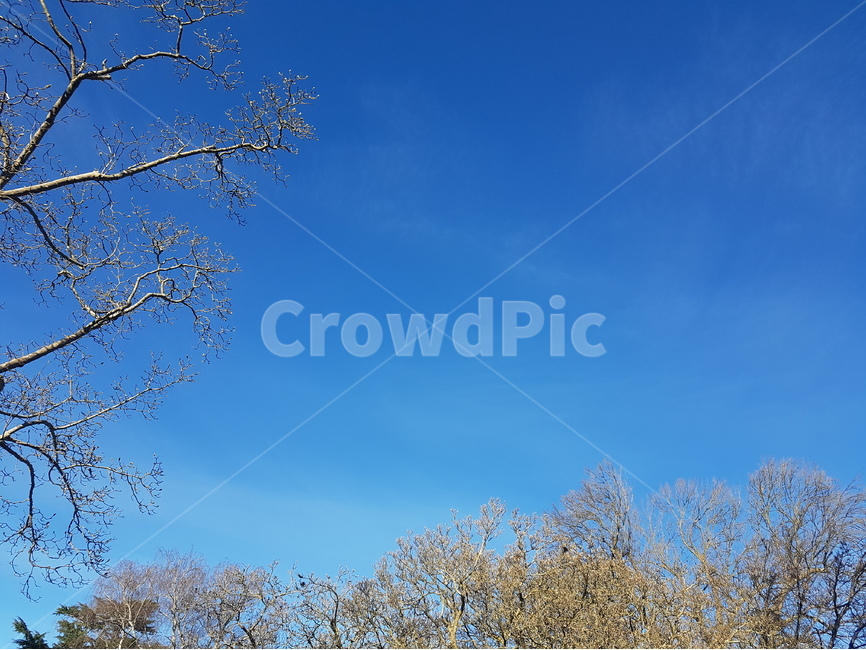 하늘,날씨,맑은,평화로운,푸른,쾌청,상쾌,구름,옹기종기,산책,sky,town,village,weather,clear,clean,fine,peaceful,calm,blue,green,fresh,cloud,walk,바탕화면,wallpaper,프레임,frame,배경,background,풍경,풍광,landscape,scenery,자연,nature,나무,숲,tree,forest,감성,힐링,healing,명상,meditation,newzealand,NZ,뉴질랜드,공원,park,자연,풍경,nature,landscape,plant,식물