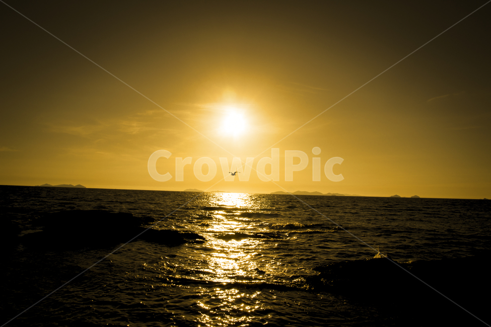 일몰,바다일몰,갈매기,해질녘,노을,자연,풍경,nature,landscape,flare,플레어,light,빛,sunlight,햇빛