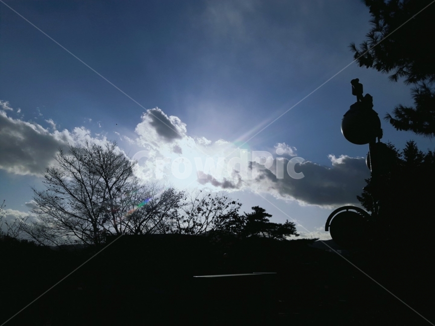 햇빛,구름,하늘,나무,그림자,자연,풍경,nature,landscape,실루엣,그림자,silhouette,shadow,flare,플레어,light,빛