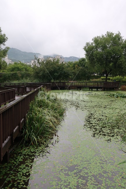 서울,창포원,식물원,도시,공원,습지,조성,숲,산책,산책로,자연,풍경,nature,landscape