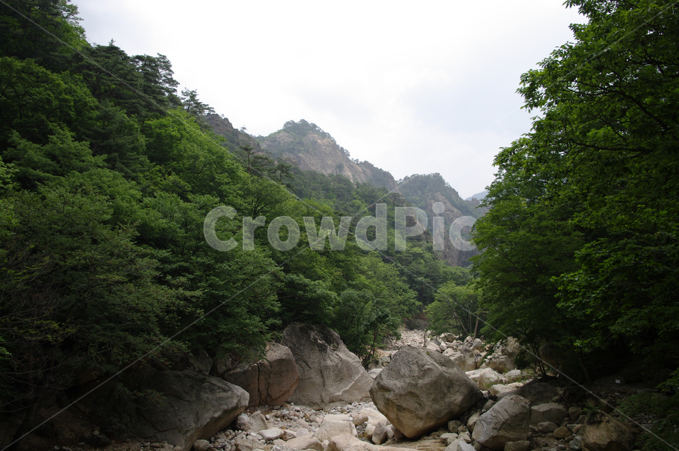 산,계곡,바위,암석,풍경,나무,설악산,자연,풍경,nature,landscape,outdoors,옥외,water,물