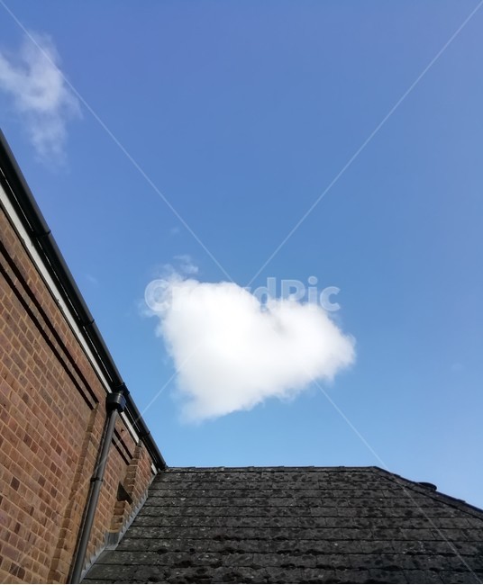 하트,구름,흰구름,맑은,푸른,하늘,heart,cloud,sky,blue,weather,roof,지붕