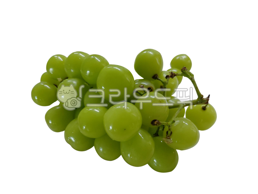 과일,포도,샤인머스캣,샤인머스켓,grapes