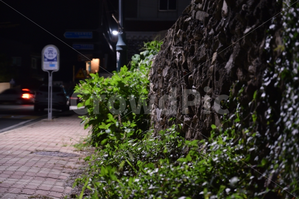 담벼락,담,돌담,밤,산책,교통,교통수단,traffic,transportation,야경,밤,풍경,nightscape,night,landscape,path,통로,walkway,보도,flagstone,판석