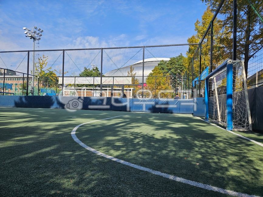 Soccer field,playground,small playground,futsal field,Gocheok Sky Dome,artificial grass,green