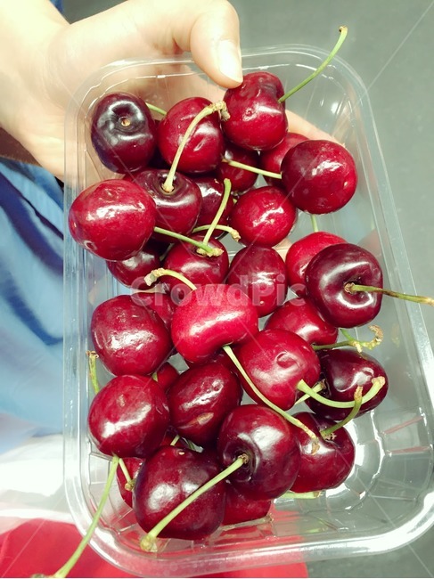 과일,유럽,시장,마켓,체리