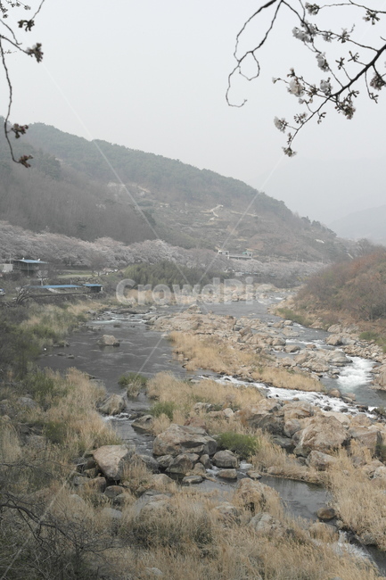 섬진강,봄,강,강줄기,자연,경치