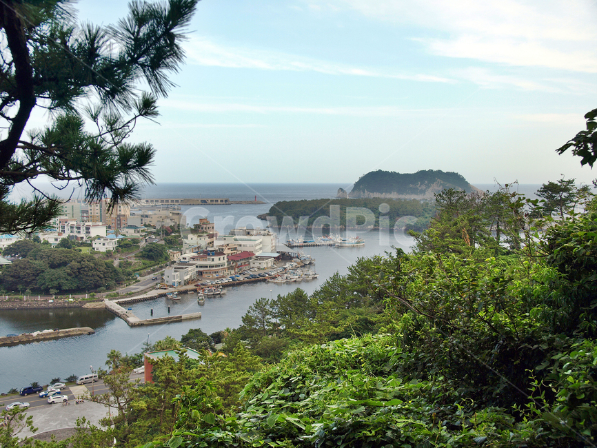 서귀포항,서귀포,삼매봉,올레6코스,올레길,제주,바다,자연,풍경,nature,landscape,한국자연풍경,한국자연경관,korea nature landscape,제주도,jeju,jeju island,outdoors,옥외,land,땅,plant,식물,vegetation,초목,scenery