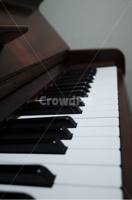 music,악기,음악,piano,피아노,keyboard,키보드,건반,그랜드피아노,grandpiano,흰건반,검은검반,키,악기,음향기기,musical instrument,musical equipment