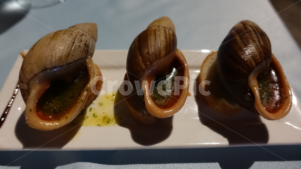 자연,nature,달팽이,에스카르고,snail,escargo,frenchcousin,food,음식,shell
