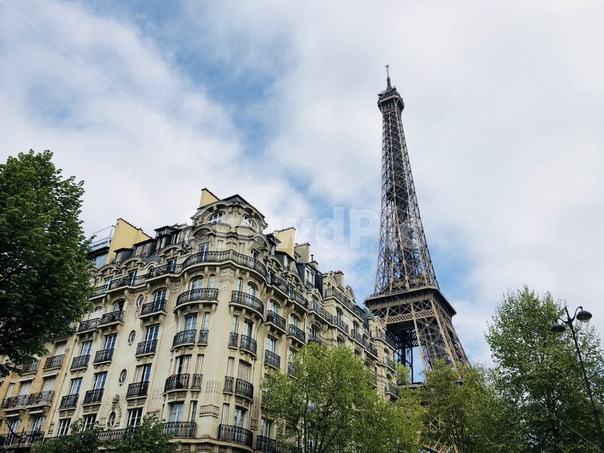 에펠탑,eiffeltower,toureiffel,paris,france,프랑스,파리,europe,landscape,관광지,관광명소,파리명소,도시,풍경,city,landscape,랜드마크,landmark,tourist attraction,해외,외국,세계,foreign,oversea,world,세계도시풍경,해외도시풍경,외국도시풍경,world cityscape,세계랜드마크,해외랜드마크,외국랜드마크,world landmark,world tourist attraction,시티,urban,어반,town,building,건물,downtown,도심