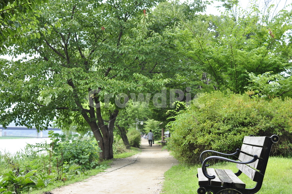 길,여름,5월,자연,풍경,밴치,자연,풍경,nature,landscape,outdoors,옥외