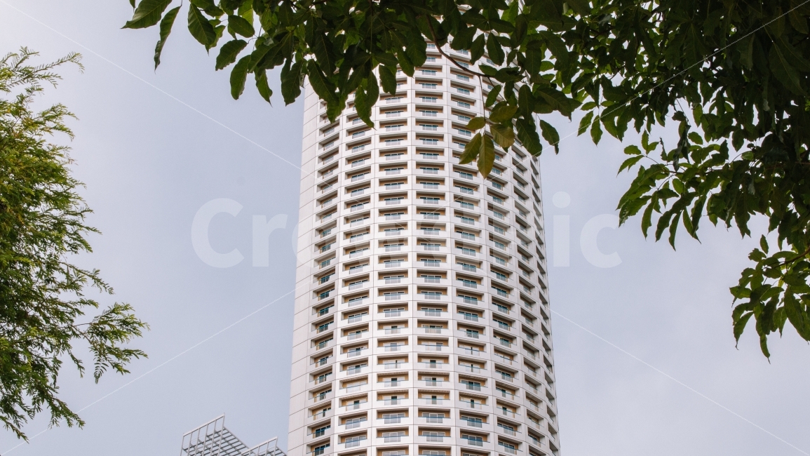 건물,건축물,싱가포르,여름,여행,도시,풍경,singapore,city,landscape,summer,건축물,건물외관,exterior,building,structure,architecture,construction,해외,외국,세계,foreign,oversea,world