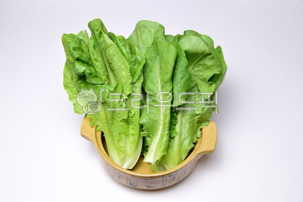 green,white background,vegetable,leaf,lettuce,vegetables,Lettuce,Romaine Lettuce,foodreserves,Romaine,ingredients