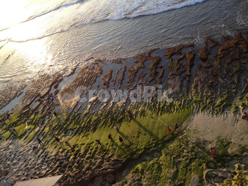 인도네시아,발리,발랑안,발랑안해변,썰물,해변,바닷가,indonesia,bali,balangan,balanganbeach,beach,ebb,ebbtide,greenbeach,녹색해변,자연,풍경,nature,landscape,plant,식물