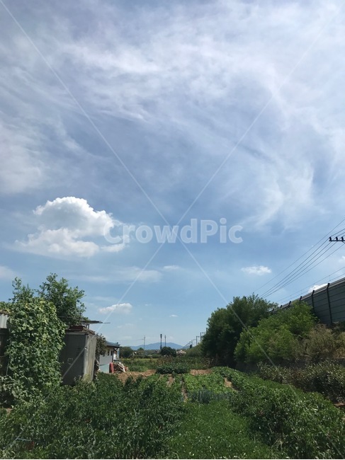 하늘,구름,밭,여름,시골,시골,마을,풍경,landscape,country,rural,town