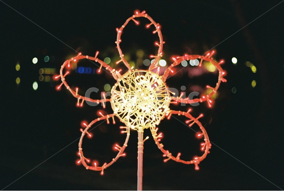 별빛축제,꽃,조화,전기꽃,led,조명,밤,night