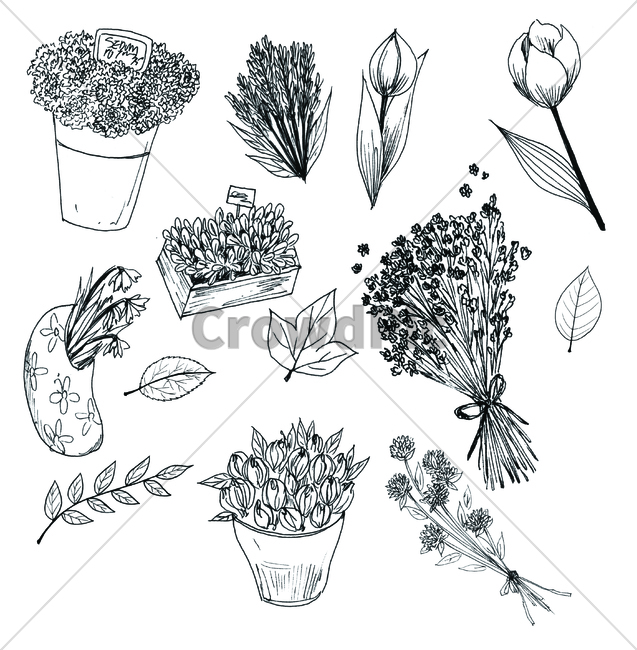 손그림,handdrawing,팬그림,팬라인,pen,penline,penpicture,pendrawing,꽃,flower,bloom,blossom,나뭇잎,leaf,foliage,umbrage,나뭇가지,bough,twig,sprig,branch,봄,spring,springtime,화분,flowerpot,pot