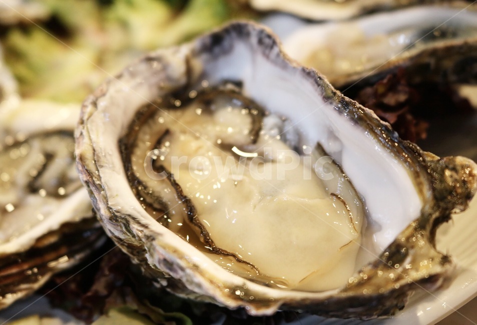 굴,생굴,석화,굴껍질,바다의우유,음식,식재료,요리,food,cook,meal,dishes,food reserves,수산물,해산물,fishery products,seafood