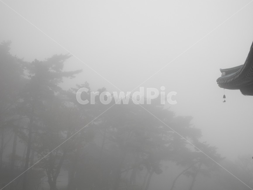 가을산행,가을산,산안개,단풍,낙엽,안개낀산,아침산행,nature,자연,weather,fog,안개,풍경,산사,안개낀산사