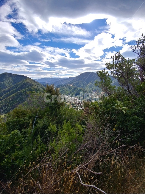 뉴질랜드,산,풍경,등산,원시림,자연,풍경,nature,landscape,outdoors,옥외,mountain range,산맥,mountain