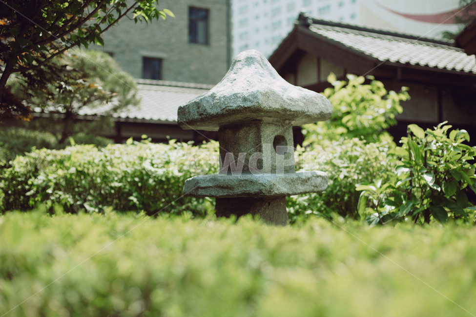 돌,기와집,식물,집,등,구조물,rock,structure