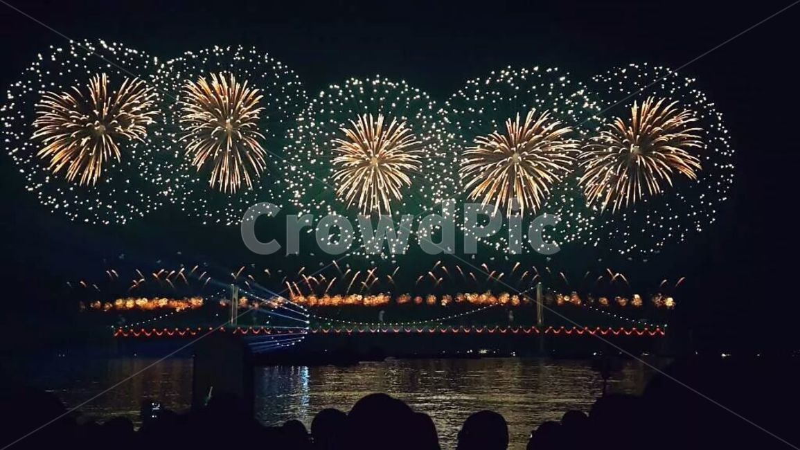 불꽃,놀이,자연,밤,야경,축제