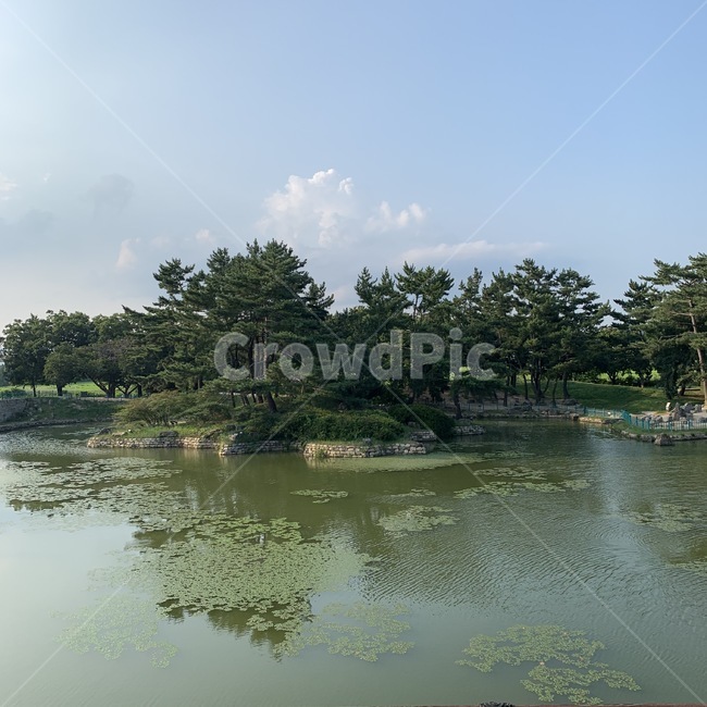 water,물,nature,자연,outdoors,옥외