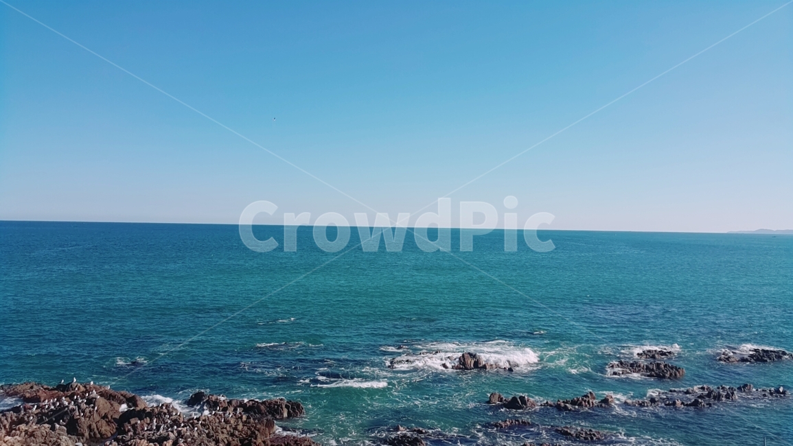 바다,가을바다,가을,갈매기,휴식,sea,ocean,autumn,fall,seagull,배경,화면,푸른,blue