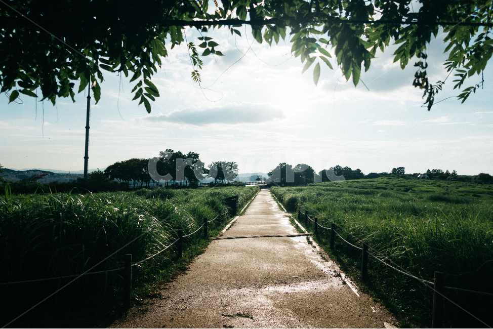 여름,하늘,구름,풍경,풀,초록,길,자연,풍경,nature,landscape,asphalt,아스팔트,road,도로