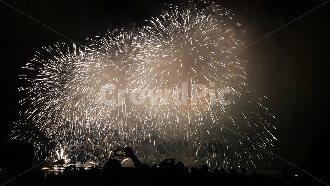 불꽃,불빛축제,폭죽,여름,꽃폭죽,야경,밤,풍경,nightscape,night,landscape,nature,자연,outdoors,옥외