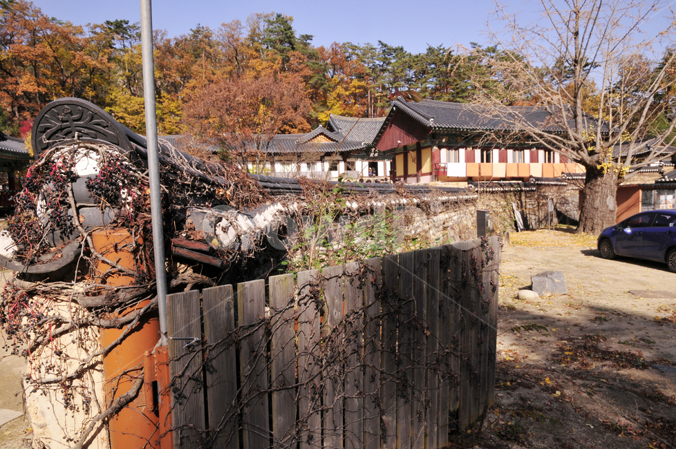 불영사,불영사계곡,가을,단풍,자연,nature,mountain,산,가을불영사,가을불영사계곡