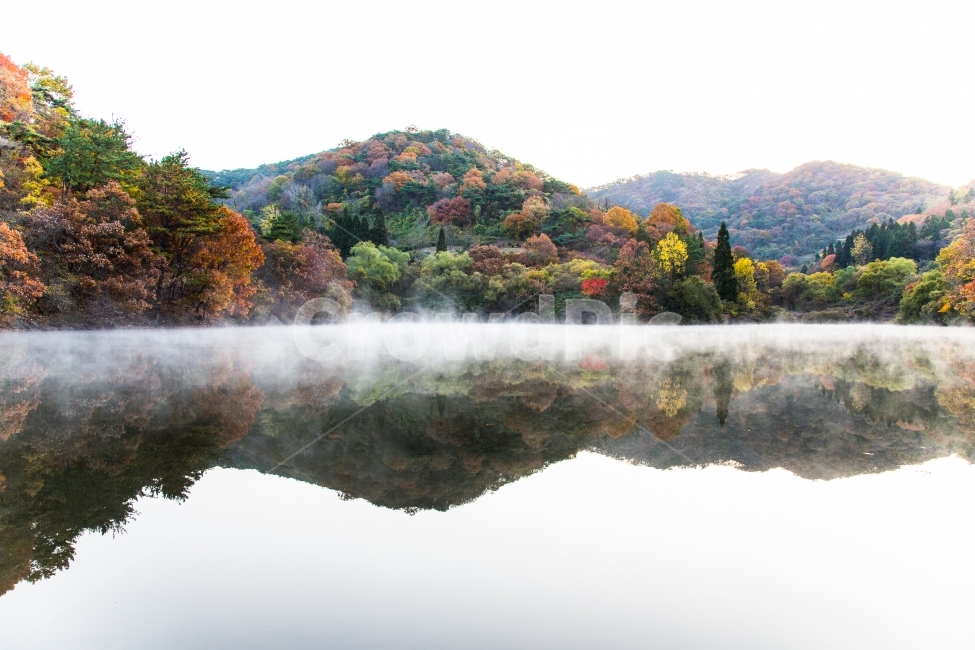 세량지,단풍,일출,물안개,반영,자연,풍경,가을,계절,fall,autumn,season,자연,풍경,nature,landscape,한국자연풍경,한국자연경관,korea nature landscape,water,물,outdoors,옥외