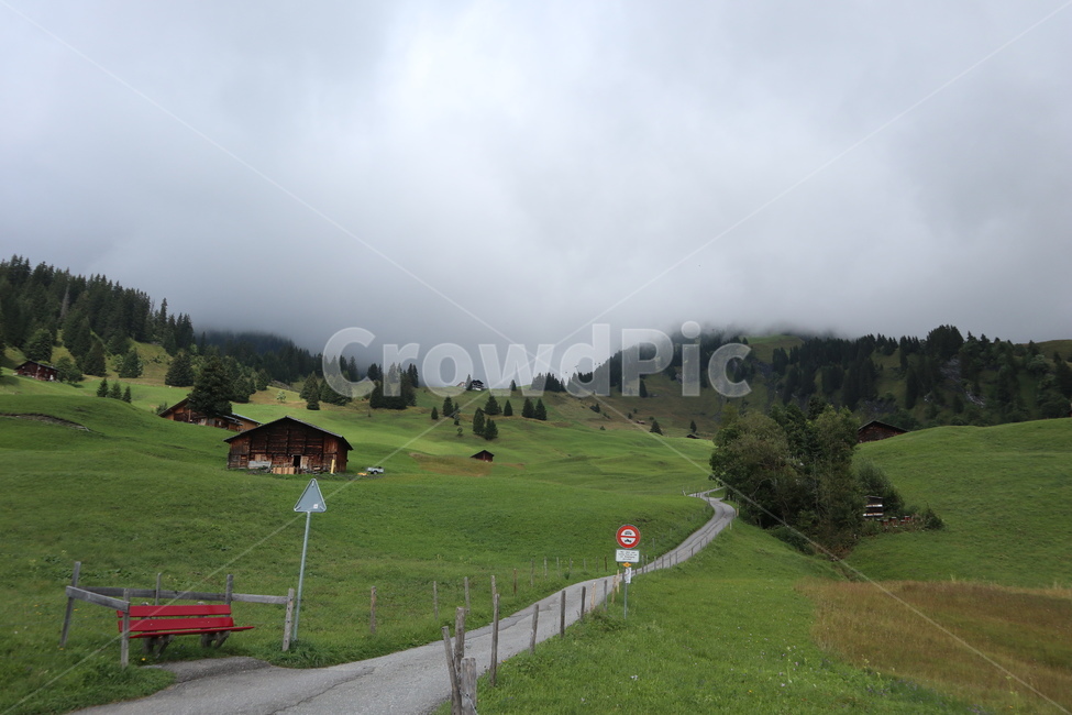 풍경,자연,안개,잔디,field,grass,plant,nature,bench,자연,풍경,nature,landscape,벤치,outdoors,옥외,들,식물,grassland,목초지