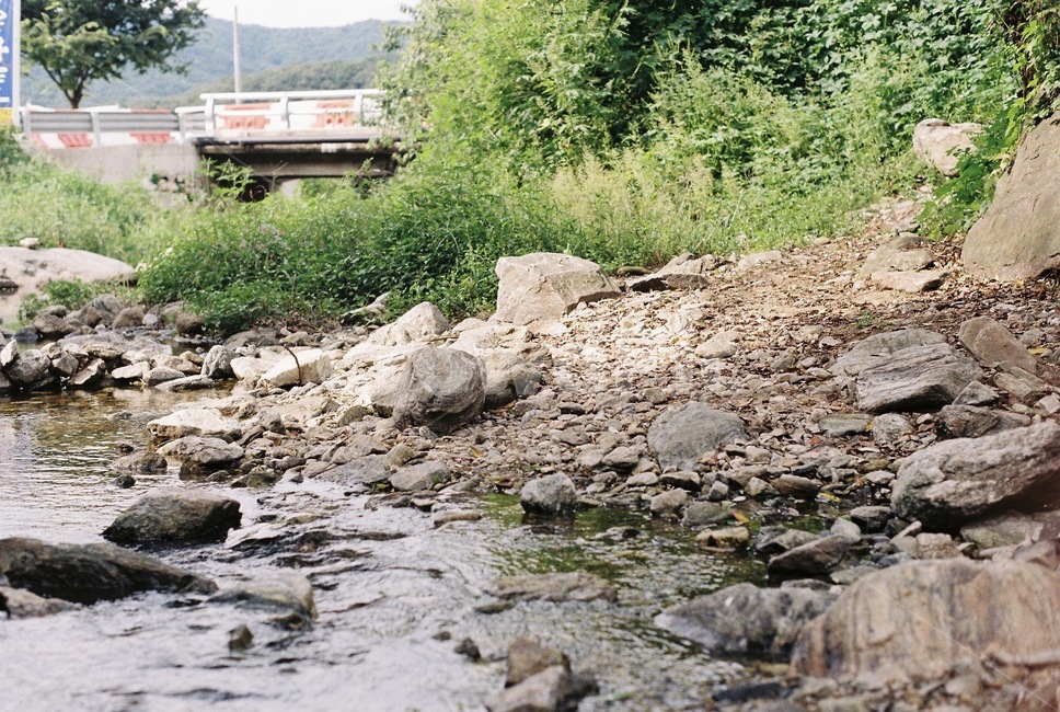 rubble,파편,바위,산,계곡,물,풀,나무,잔디,자연,풍경,nature,landscape