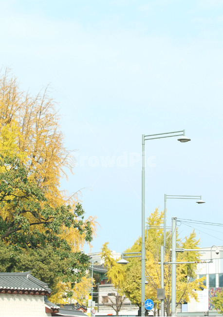 가을,단풍,풍경,한국,전통,감성,korea,autumn,fall,가을풍경