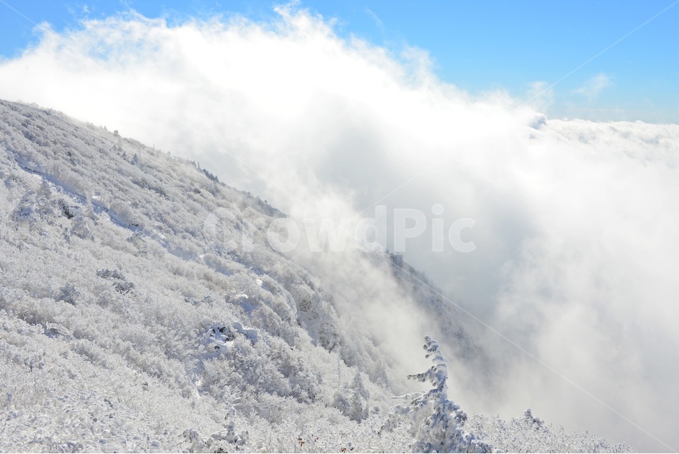 전북,무주,설천면,향적봉,겨울,설경,상고대,운해,nature,자연,outdoors,옥외,겨울,계절,winter,season,자연,풍경,nature,landscape,한국자연풍경,한국자연경관,korea nature landscape