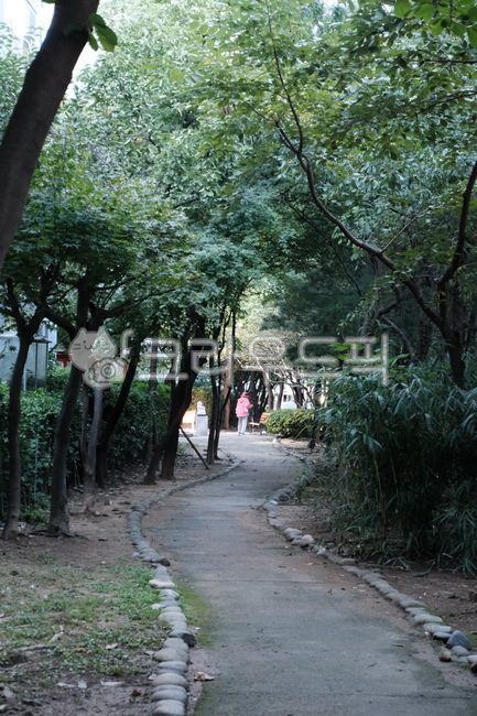 Walking trail,nature trail,city walking trail,park walking trail,forest path,wooden path,dirt road,paved road,exercise path,quiet path,outdoor walking,wooden deck path,public walking path,daily walking path,pedestrian path,walking trail,fo