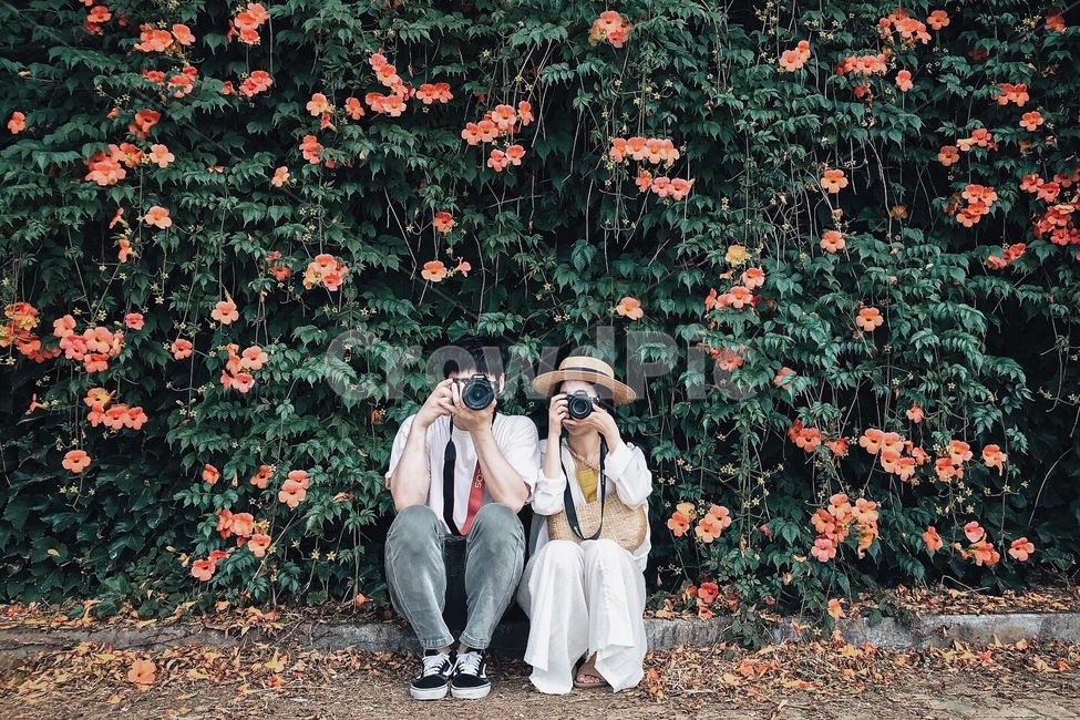 능소화,카메라,꽃,커플,사람,couple,사람,인물,인간,human,person,연인,커플,사랑,lover,couple,여행,휴가,traveling,vacation,trip,사진작가,포토그래퍼,photographer,감성,sensible,feeling