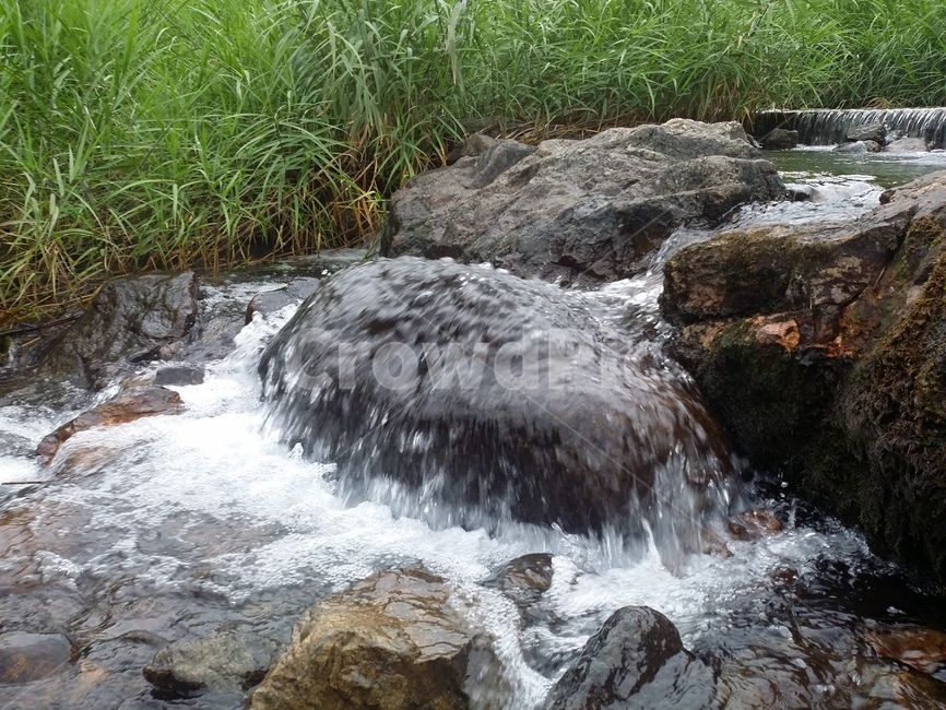 water,물,nature,자연,흐름,개울,자연,풍경,nature,landscape,outdoors,옥외,stream,creek,작은 만