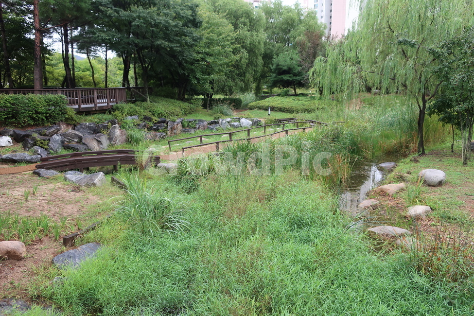 서울,창포원,식물원,도시,공원,습지,조성,숲,산책,산책로,자연,풍경,nature,landscape,potted plant,화분,jar,항아리,pottery,도기류,plant,식물,planter,파종기,herbs,허브,outdoors,옥외