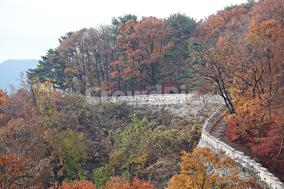 남한산성,성곽,성,단풍,낙엽,길,둘레길,숲,숲길,담,돌담,가을,자연,풍경,벽,울긋불긋,산성,식물,가을,계절,fall,autumn,season,한국전통,한국문화,korean traditional,korean culture,nature,outdoors,옥외