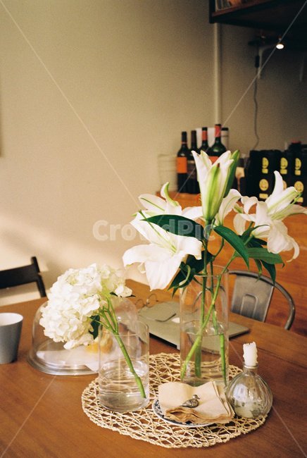 백합,꽃,필름사진,카페,감성사진,필름,lily,flower,kitchen,table,테이블