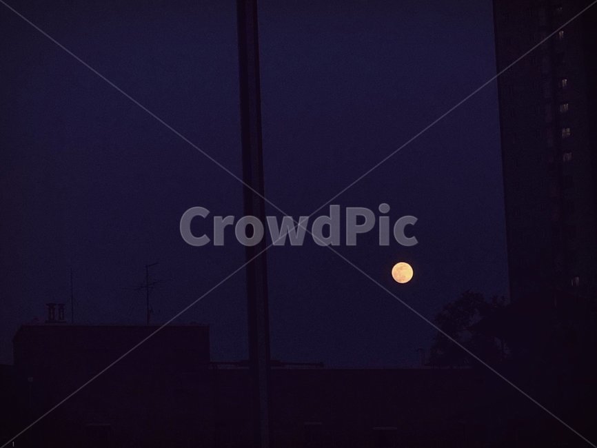 밤,night,파란색,blue,어둠,달,moon,야경,밤,풍경,nightscape,night,landscape,nature,자연,outdoors,옥외